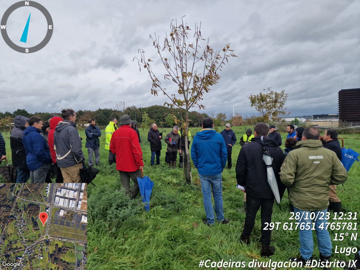 No taller de poda de castiñeiro do pasado sábado 28 de outubro con Pablo Fraga de #campolab. A choiva non impediu a interese desta acción formativa que terá unha segunda edición o sábado 4 de novembro.
#cadeirasdivulgación #forestal #castiñeiro #souto