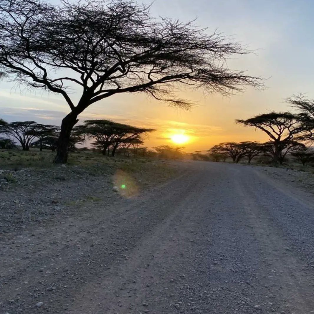 ROYALSAFARIS0's tweet photo. Sight &amp; scenes https://t.co/xWC0lyMG9c