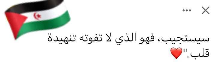 samir abdelmoumen (@samirdoc) on Twitter photo 