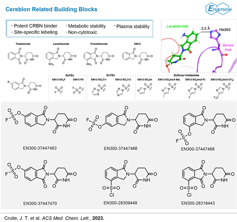 EnamineLtd's tweet image. Sulfur exchange chemistry is well-suited to the development of histidine targeting 
small molecule protein ligands and drugs.
Try our building blocks in-stock lnkd.in/eXKDDzGT or order Make-On-Demand building blocks lnkd.in/ekP-FY-6!
#Enamine #PROTAC #drugdiscovery