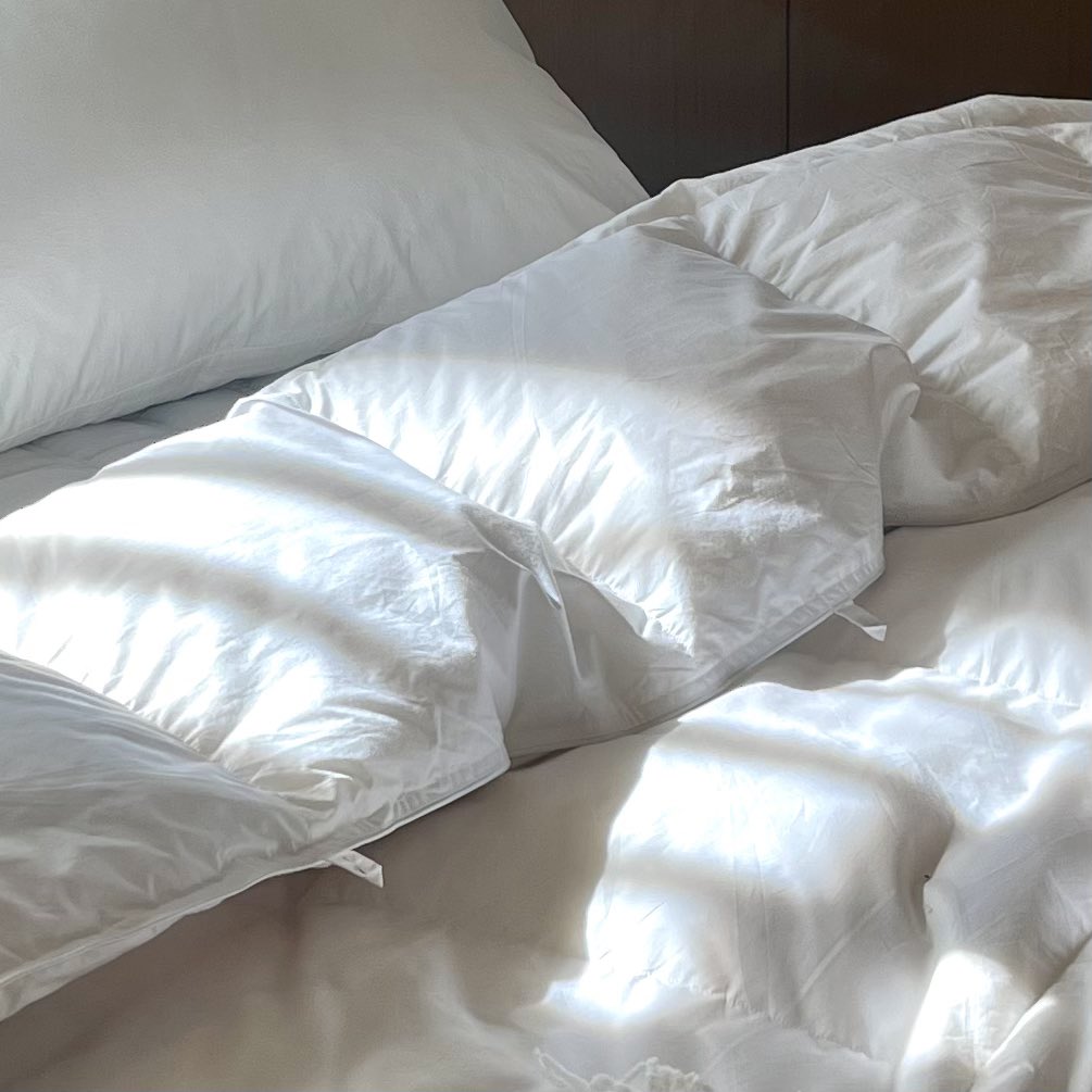 zero_o___clock's tweet image. 오늘 하루는 어떻게 보내셨나요?

맑으면서도 쌀쌀한
완연한 가을 날씨네요.

바쁘게 돌아가는 하루 안에서
아늑한 쉼표 하나,
온전히 비워진 시간을 갖길 바라요.