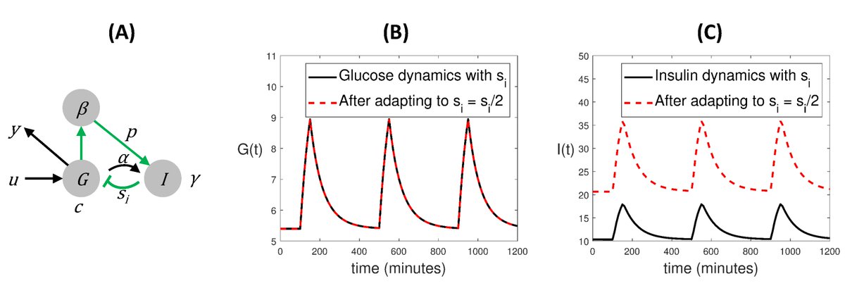 Symmetry_MDPI's tweet image. #mdpisymmetry #featurepaper Feature Paper &quot;Symmetries in Dynamic Models of Biological Systems: Mathematical Foundations and Implications&quot; is available at mdpi.com/2073-8994/14/3…
Author: Alejandro F. Villaverde
#dynamicmodeling #nonlinearsystems #robustness #observability