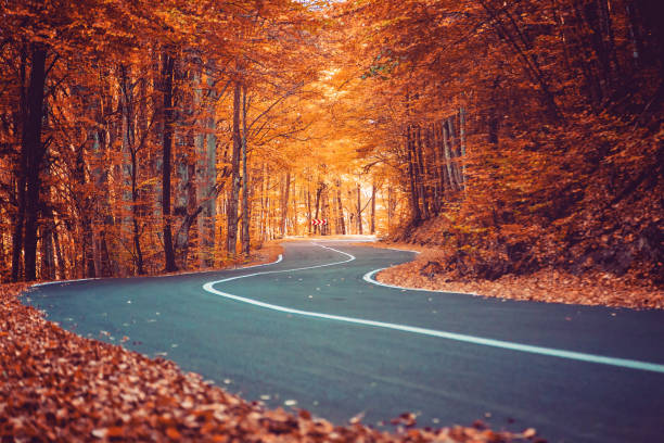 Rise & shine #edutwitter! On this #MondayMotivation, remember that life's journey is a winding road, filled with highs and lows. It's the twists and turns that make the adventure beautiful. Embrace each moment, learn from every experience, and keep moving forward. Enjoy the ride.