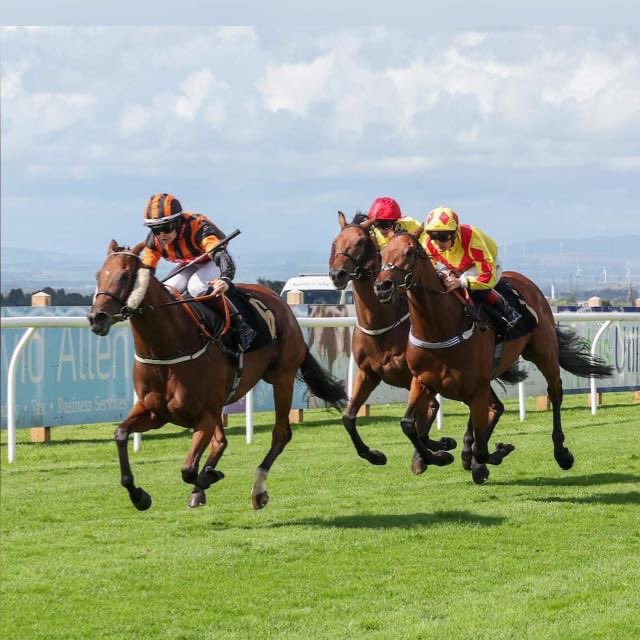 Maximum Racing (@racingmaximum) on Twitter photo 🏇🏻Runner 30/10/2023🏇🏻
Horse: Shahnaz
Trainer: <a href="/DBourkeRacing/">Daragh Bourke Racing</a>
Jockey: William Pyle
Time: 19:00 at <a href="/NewcastleRaces/">Newcastle Racecourse</a>
Good luck to connections.
#ownaracehorse #racehorseownership #racehorseowners 🏇🏻Runner 30/10/2023🏇🏻
Horse: Shahnaz
Trainer: <a href="/DBourkeRacing/">Daragh Bourke Racing</a>
Jockey: William Pyle
Time: 19:00 at <a href="/NewcastleRaces/">Newcastle Racecourse</a>
Good luck to connections.
#ownaracehorse #racehorseownership #racehorseowners