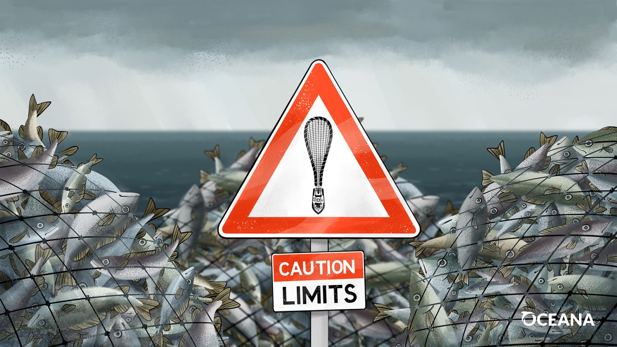 ⛔️WARNING: Fish must be part of our future!🐟

But only if EU &amp; UK are ready to #EndOverfishing and set Total Allowable Catches (TACs) in line with scientific advice.

Science-based catch limits are important for the survival of important fish stocks and for the fishing industry.