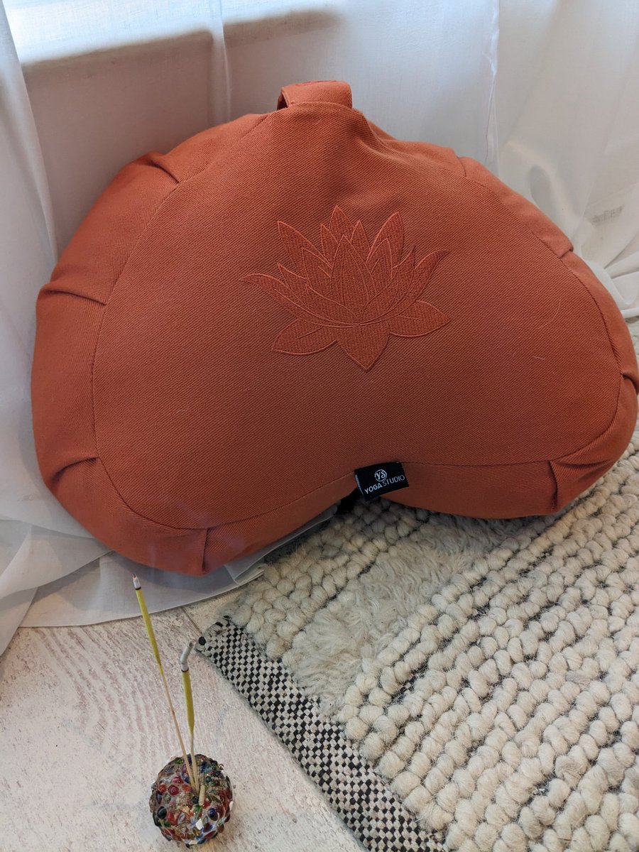 GillBall2's tweet photo. Huge Love &amp; Our admiration for your News David &amp; Manu, Mr &amp; Mr 🙏 I think of you as I am supported, in having @yogaStudioStore  cushion #samadhiretreats  #davidoromith https://t.co/b9vBOjAd1A