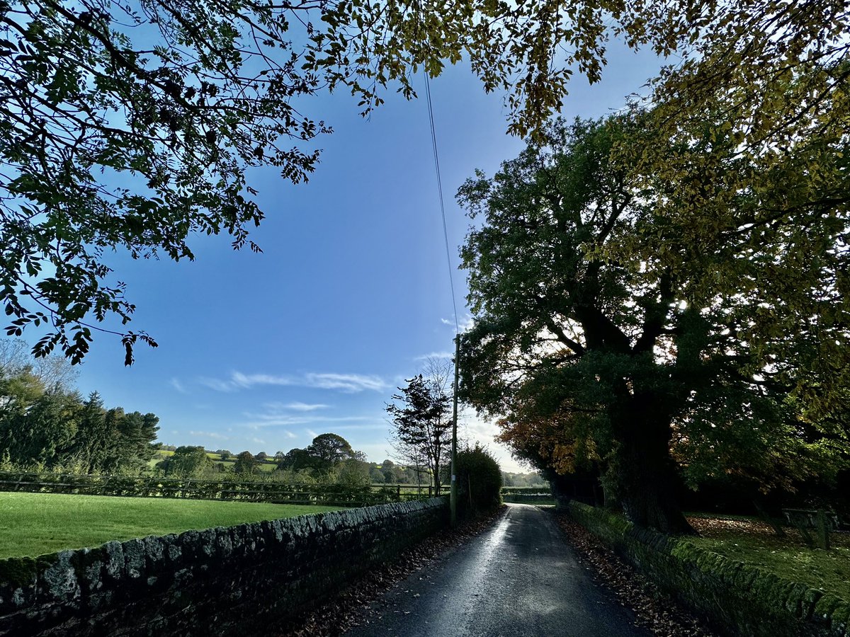 #Shropshire #countrylanes #October2023 #walking #autumleaves #countryside 

This is my morning walk. Show me yours .
