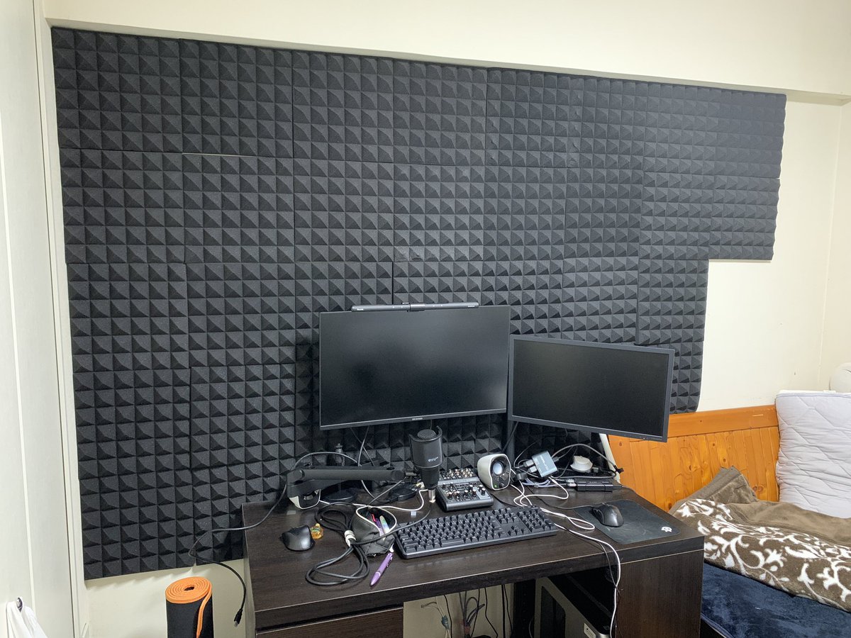 皆様お疲れ様です。

吸音材で埋め尽くされた壁を見て、何とも言えない気持ちを抱いたカーリーです。

小物や貴重品は大抵黒なのですが、ここまでくると、近寄り難い印象を人に与えるなと思いました。配色は大事ですね。

皆様も、色についての特別なこだわりがあれば、気兼ねなく返信してください😎