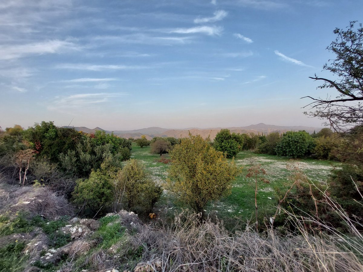 Back in the field with our Hala Sultan Tekke Hinterland Survey Project! Wonderful landscapes in Cyprus ❤️‍🔥 @FWOVlaanderen @researchvub @VUBrussel @AMGC_VUB