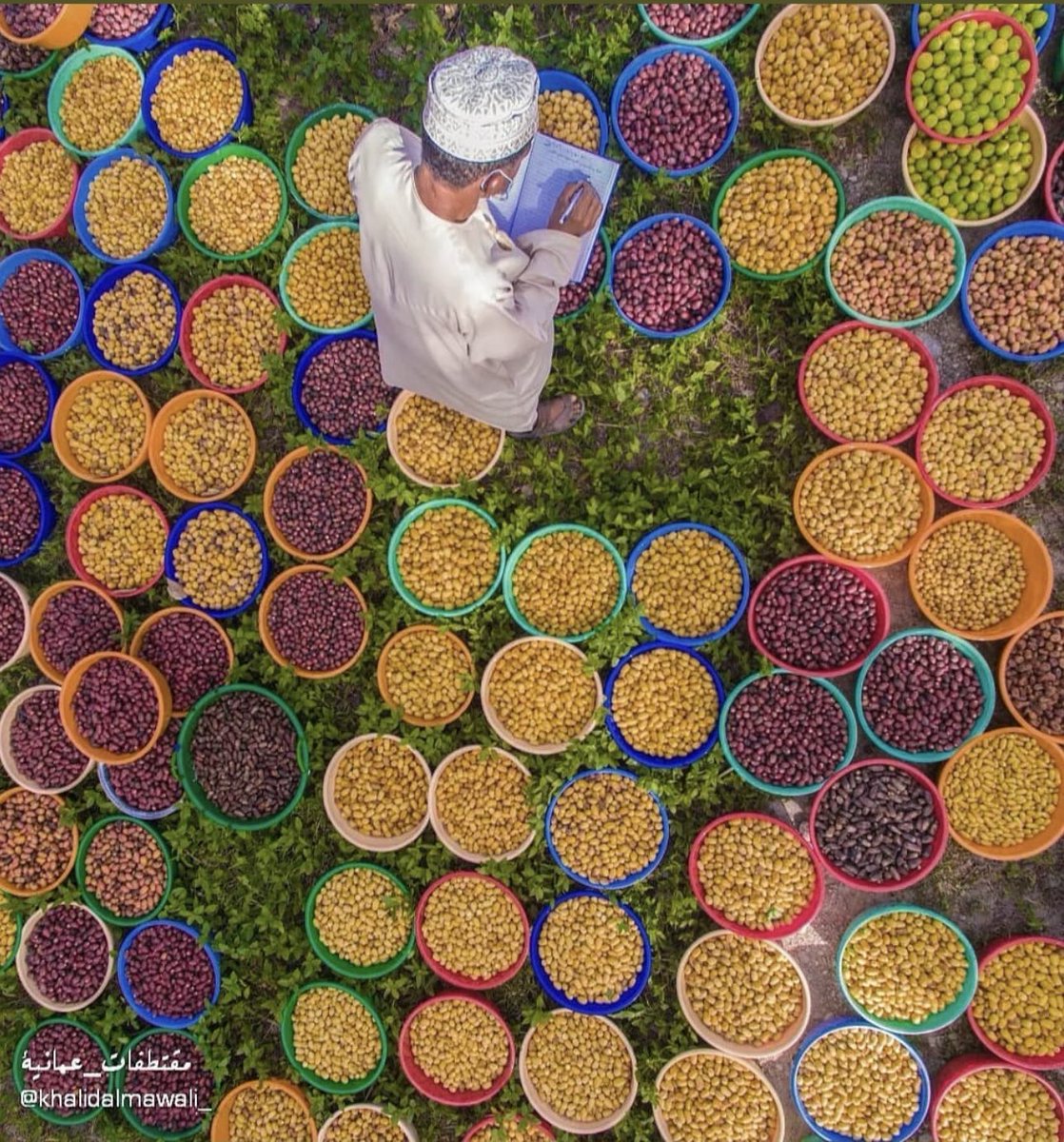 ولاية وادي المعاول، إحدى ولايات محافظة جنوب الباطنة
#وادي_المعاول