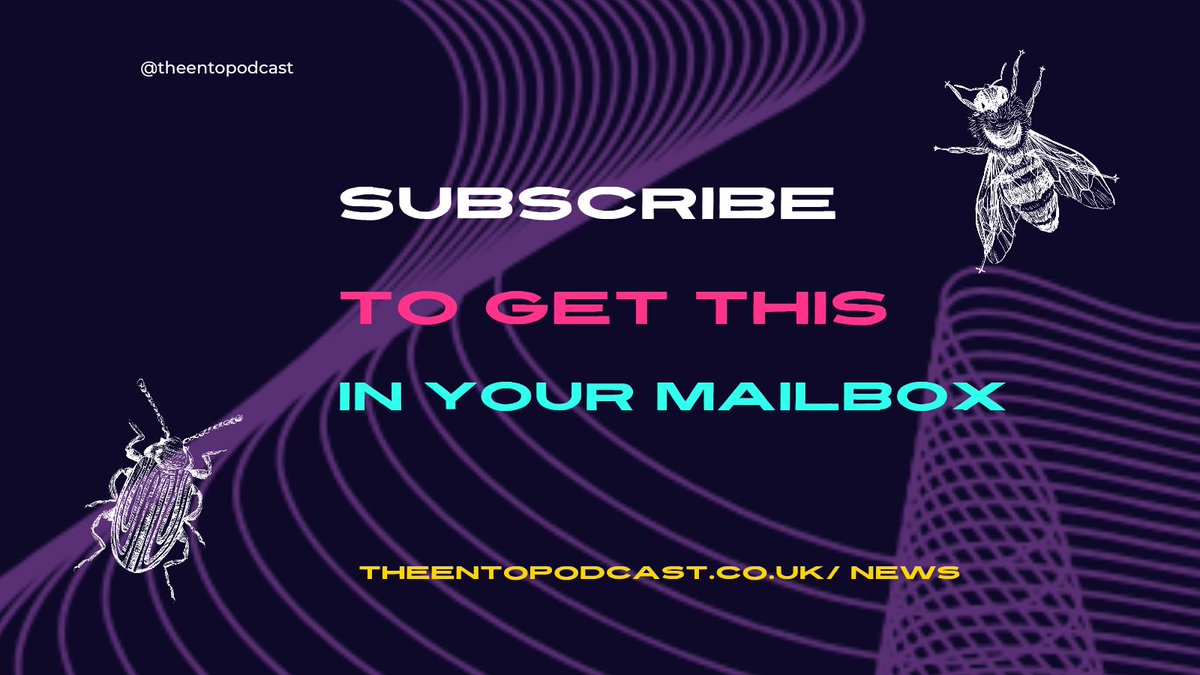 Bug out! The future of food is looking a little buggy 🦗 Sign up for The Ento Podcast weekly newsletter to stay up-to-date on the latest insect food news: [link] #edibleinsects #insectfood #sustainability #futureoffood