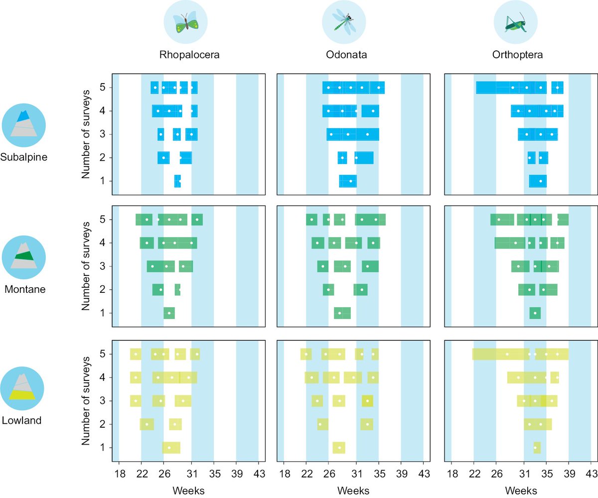 AlpineEnto's tweet photo. 🇨🇭 Researchers in Switzerland present a proof of concept, using 20 years of entomological records, for a method to optimise the timing of survey windows using a framework maximising the detectable species pool.

🔗 https://t.co/BBvdS1FsxV 

#entomology https://t.co/ystTkOn6xn