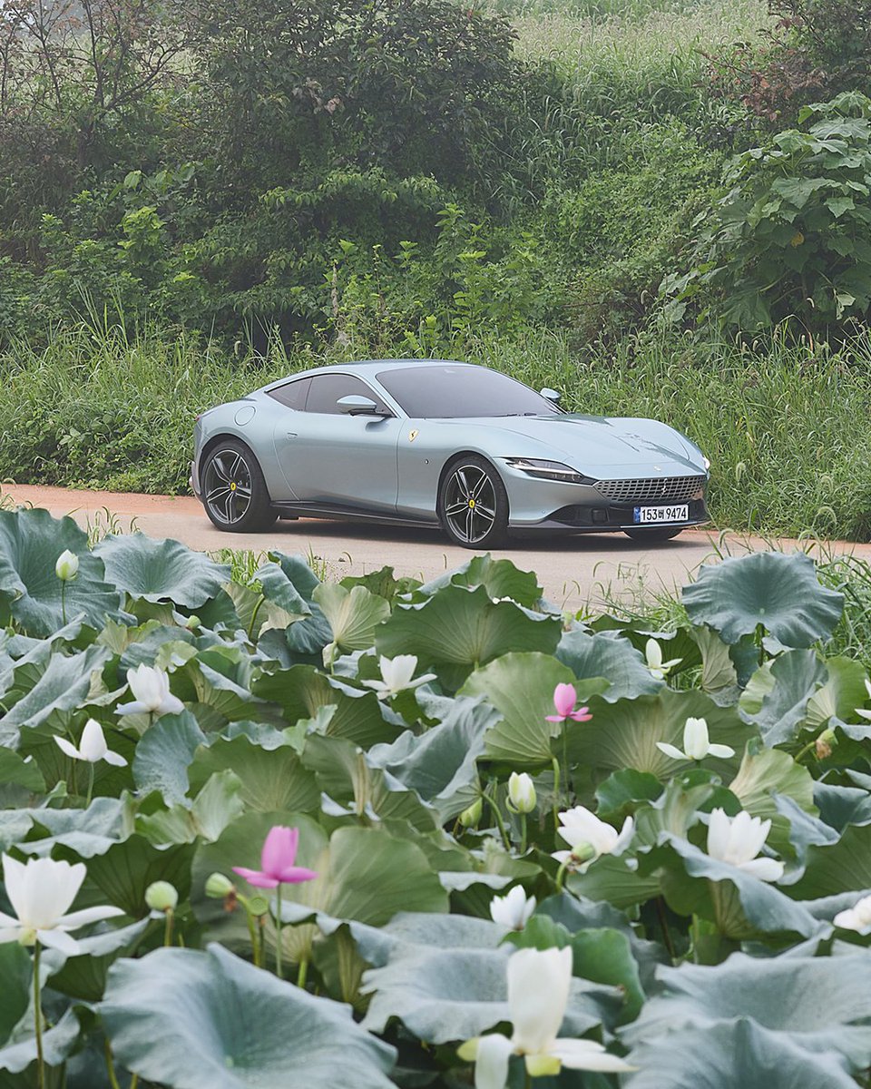 Korean countryside colours and the #FerrariRoma’s beauty in full display.

#SouthKorea #Ferrari