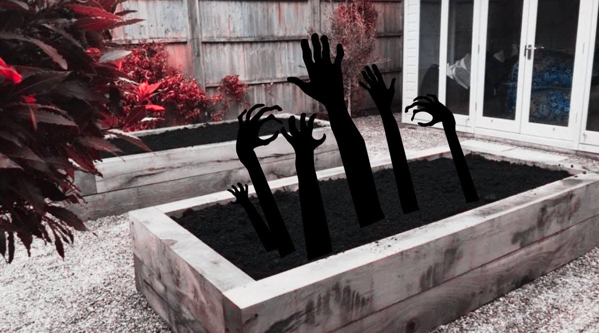 UkSoil's tweet photo. This #spookyseason, don't let the #spectre of the #Creosote Creep take #Halloween residence in your #soil! The potential impact that creosote-treated #wood can have on surrounding soil - and your #health can be severe.
Don't risk it...test it!
https://t.co/D619Aj7Ogo https://t.co/b7aSSpRMEO