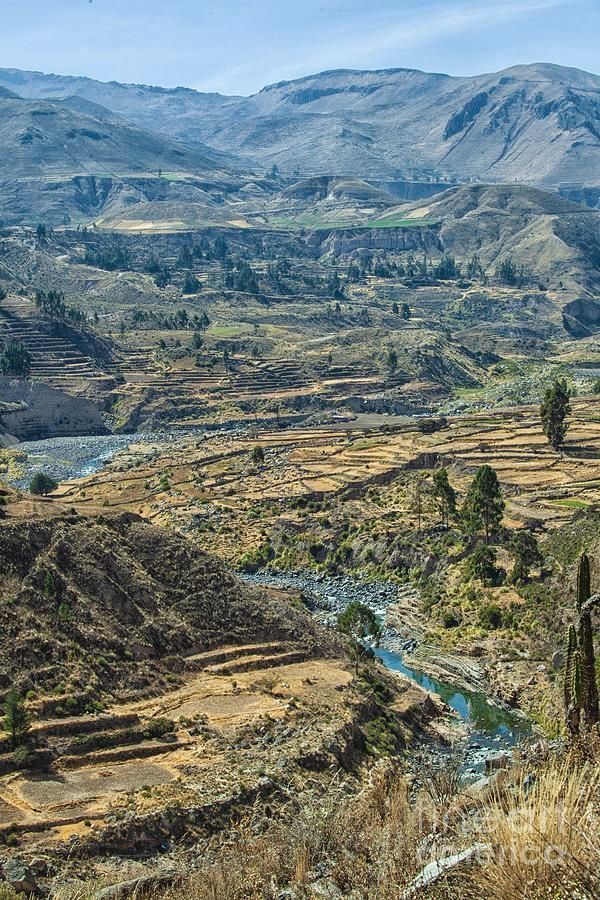View Colca Canyon, Peru buff.ly/45k7cvx By buff.ly/3i3uCm2 #wallart #homedecor #fineart #AYearForArt #photography #peru #landscape #stunning #colcacanyon #layered #river