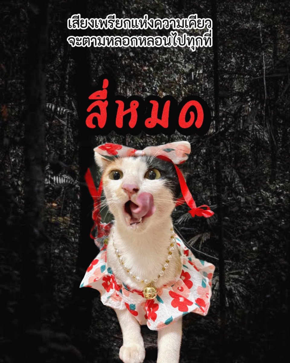 หน่วยกิตแมววัว tweet media