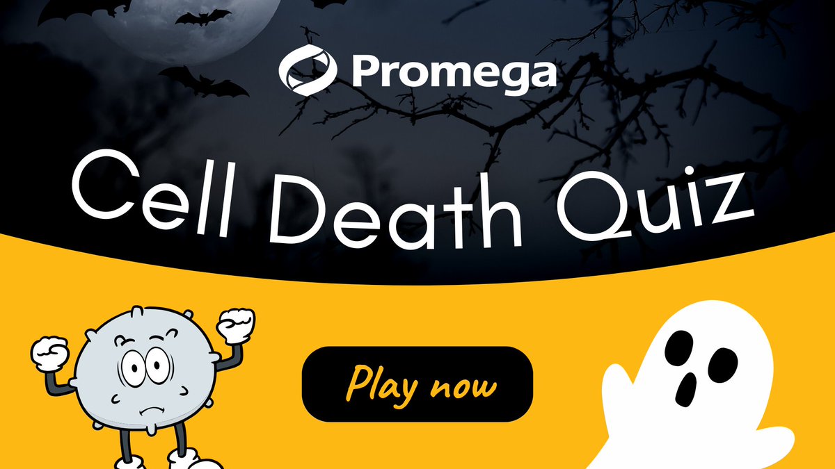 Halloween is here! 🎃   Join us for some fun and give your brain cells a fitness booth by playing our Cell Death quiz 💀 Participation is open until November 1, 2023 and free of charge. Winners enter a raffle to win a surprise goodie box.   Play here ➡️ bit.ly/497NZ3r