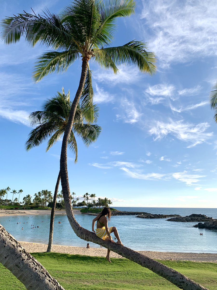 週末はのんびりと😌
最近はボーッとする時間が本当に大事🧘‍♀️💓

#週末の過ごし方 #のんびり #リラックス #島暮らし #ビーチライフ #ハワイライフ #ハワイ生活 #ハワイ暮らし #アロハライフ #hawaiilife #hilife #islandlife #beachlife #alohalife #luckywelivehawaii