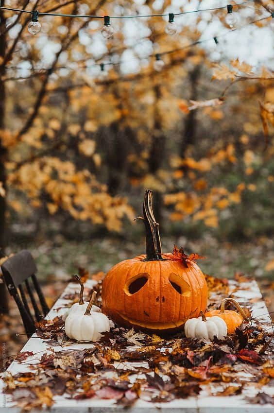 #TeamStallion🗺️

<a href="/italianostyle2/">Frankie D....TEAMSTALLION</a>
<a href="/MarEthr/">👉 Mark 28K 😜👇</a>
<a href="/R3_Adv/">JarodKOPI🇮🇩</a> <a href="/bluea125/">BlueA125</a>
@GRAHAM15583070
<a href="/hskhan0344/">Khan_is_back 🇵🇰</a>
<a href="/BrettMGWV/">brett</a>
<a href="/ALESXIA_1/">˙●♥ A҉ L҉ E҉ S҉ X҉ I҉ A҉ _҉ 1҉●♥ -</a>
@SuperMita__
<a href="/jijindut/">⛔ PUNGGAWA MERAH ⛔</a> <a href="/mikuroQ/">Panda Mikucan</a>
<a href="/caitorosales/">ricardo rosales</a>
<a href="/TwFsClub/">Founder of ☀️ #TwFsClub</a>
<a href="/aylin_cee/">@ylin</a>
<a href="/OmpungGuru/">Posma Lumban Tobing</a>
<a href="/M3ChaN_1/">┫❊◉ÇHĮŃŤÀ◉❊┣</a>
<a href="/Dhayu260975/">Mbak Dhayu</a>
<a href="/mbambangsugiono/">MBambangS🇮🇩</a>
<a href="/Ajisapto15/">Ajisapto76</a>
<a href="/NlHILIST/">🎩LORD NIHILIST♪ IFB ALL: UNFOLLOW=BLOCK</a> <a href="/PriSilSt/">🤍 SILVI 🤍🤍🤍</a>
<a href="/how378_/">how378_</a> <a href="/tnmuda/">Tn Muda</a>