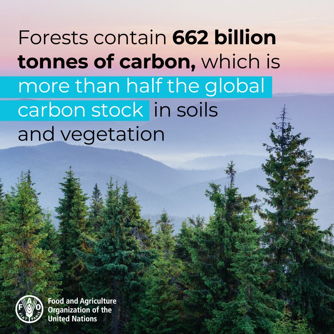 FAO Climate Change & Biodiversity tweet media