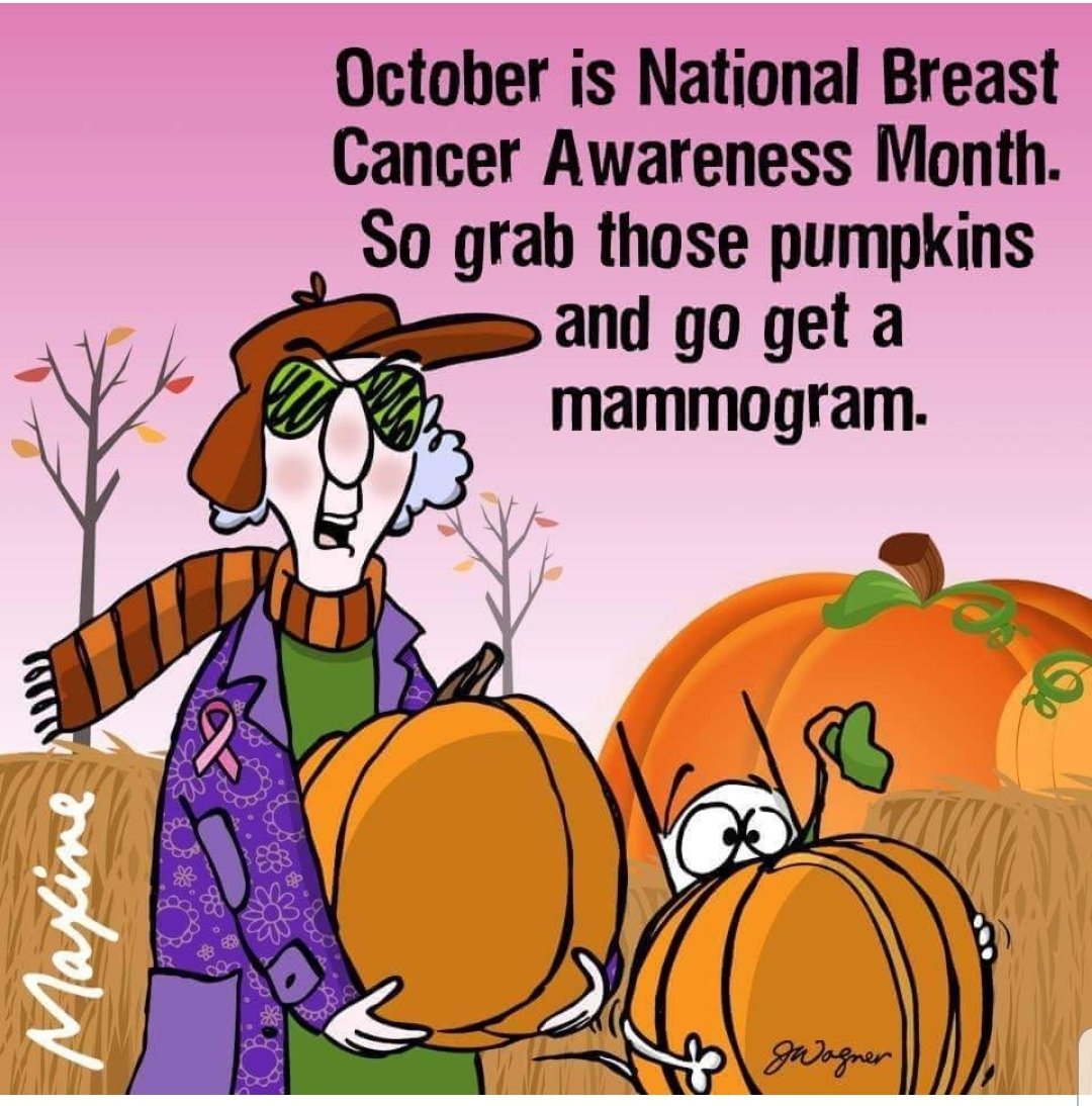 PinkBraUSA's tweet photo. Nobody knows your body better than you. @PinkBraBazaar https://t.co/lnTaN7YSjz