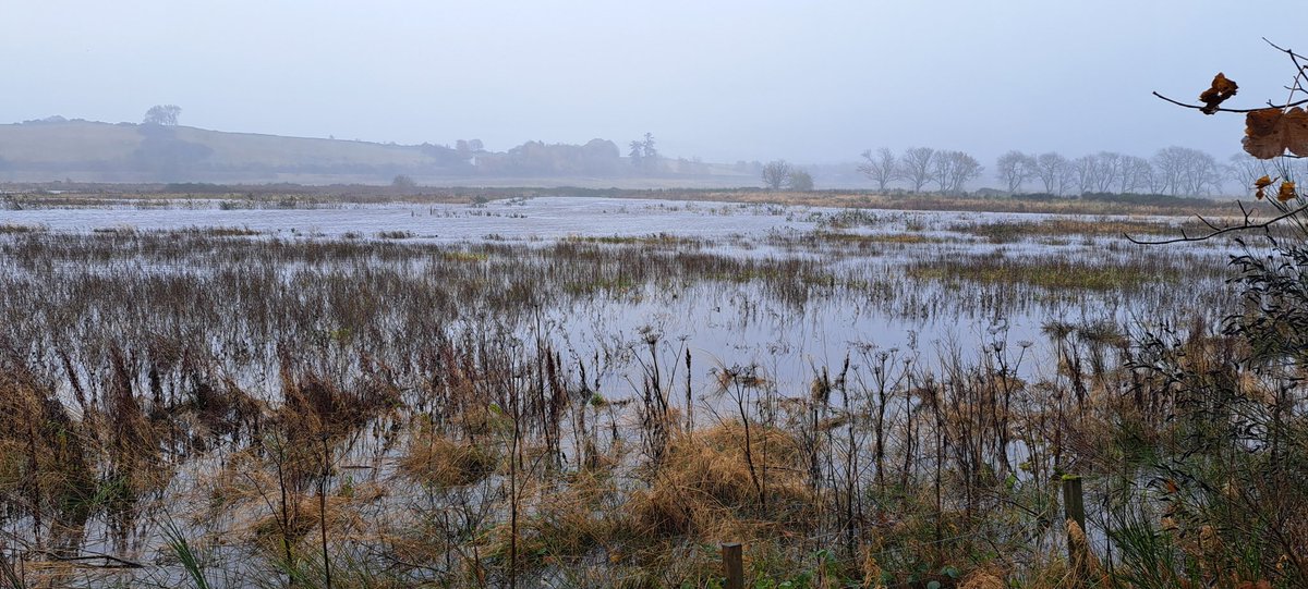 This is what a functioning river looks like. Spills onto the land during times of high flow. #EasterBeltie