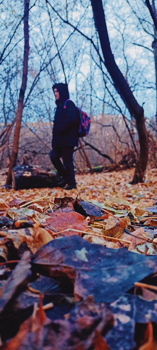 AlenKa_NFT's tweet photo. "Autumn is a time when nature turns into thousands of shades of gold, red and orange, reminding us of the beauty of change and the need to let go of the past."
@ls_artist 
@latinka_m 
@alla_artasty 
@Ira76516994s 
@1jgxV6OKfIU7Oc3 https://t.co/hueQA6OML6