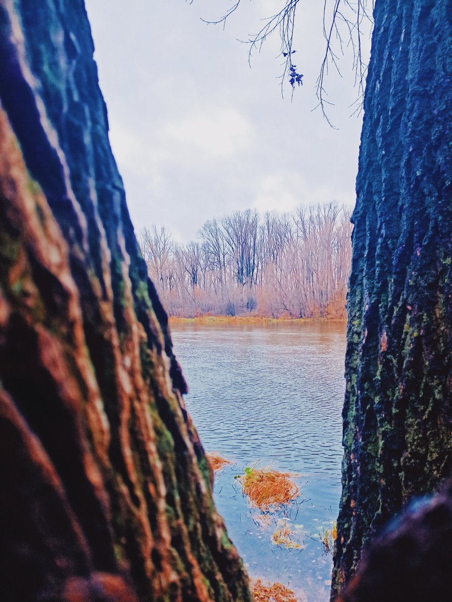 AlenKa_NFT's tweet photo. "Autumn is a time when nature turns into thousands of shades of gold, red and orange, reminding us of the beauty of change and the need to let go of the past."
@ls_artist 
@latinka_m 
@alla_artasty 
@Ira76516994s 
@1jgxV6OKfIU7Oc3 https://t.co/hueQA6OML6