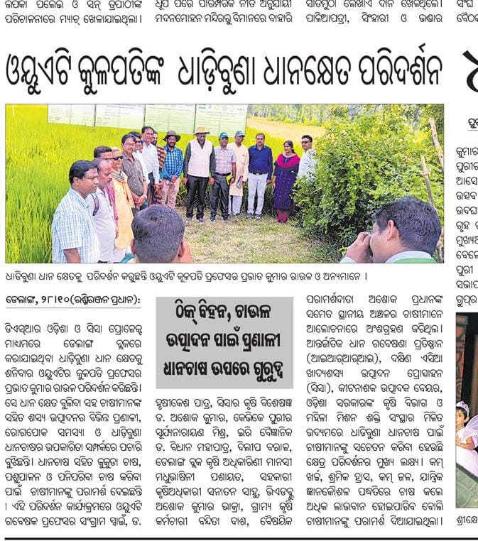 Media Coverages of Prof. Pravat Kumar Roul, Vice Chancellor, OUAT visited demonstration of Direct Seeded Rice plot by IRRI-CSISA Project supported by Dept. of Agriculture & FE, Govt. of Odisha in different area of Puri districts.