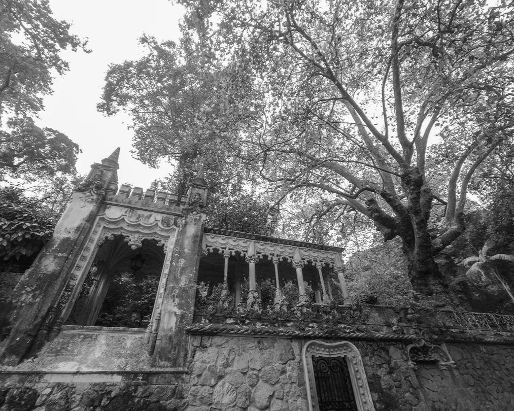 Flygia360's tweet photo. Spooky palace 📸
.
.
. 
#Flygia360 #photography #travelphotography #photooftheday #picoftheday #actioncam #actioncamera #SJCAM #EyeEM #beauty #Portugal #Sintra #QuintaDaRegaleira #blackandwhite #spooky #creepy #empty #hidden #abandoned https://t.co/heXpwZDxNG