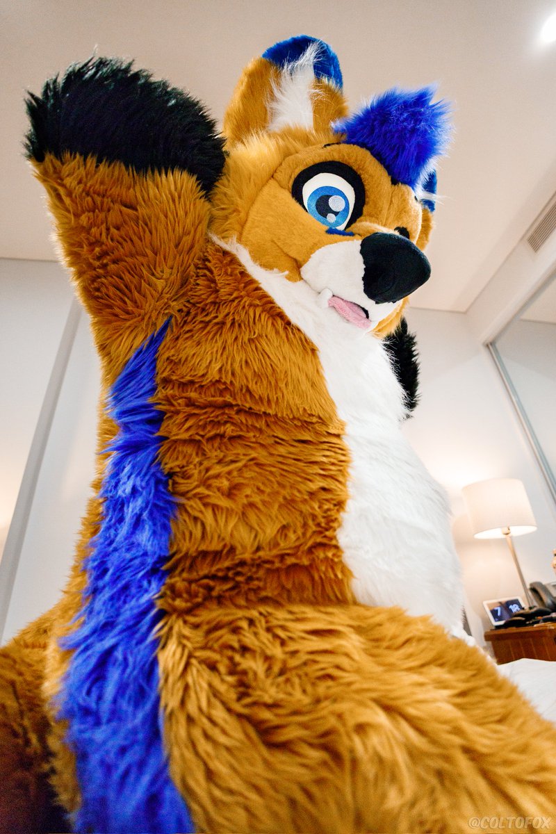 AeroFox64's tweet image. If he asked you to snuggle with him what would yo do?
📷 :@coltofox 
#furry