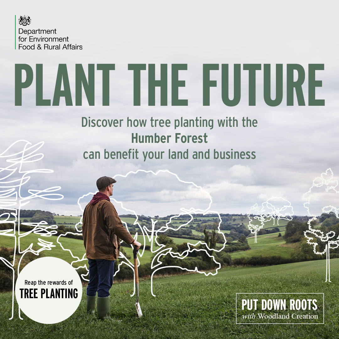 Are you in interested in woodland creation? Whether you are a farmer or landowner please get in touch, our grants can cover 100% of tree planting and maintenance costs.

There’s no better time to start your tree planting journey #PutDownRoots

Get in touch orlo.uk/Humber_Forest_…