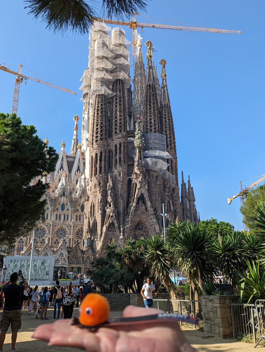 SavientBugs tweet media