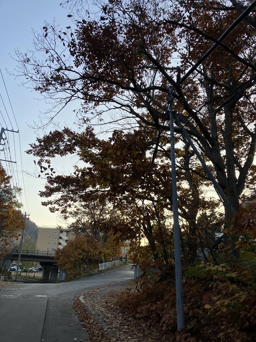 今仕事と別に副業してるんだけどストレスやばいのか美味しい食べ物とお酒飲んだら涙出そうになってた ｱﾌﾞﾈ