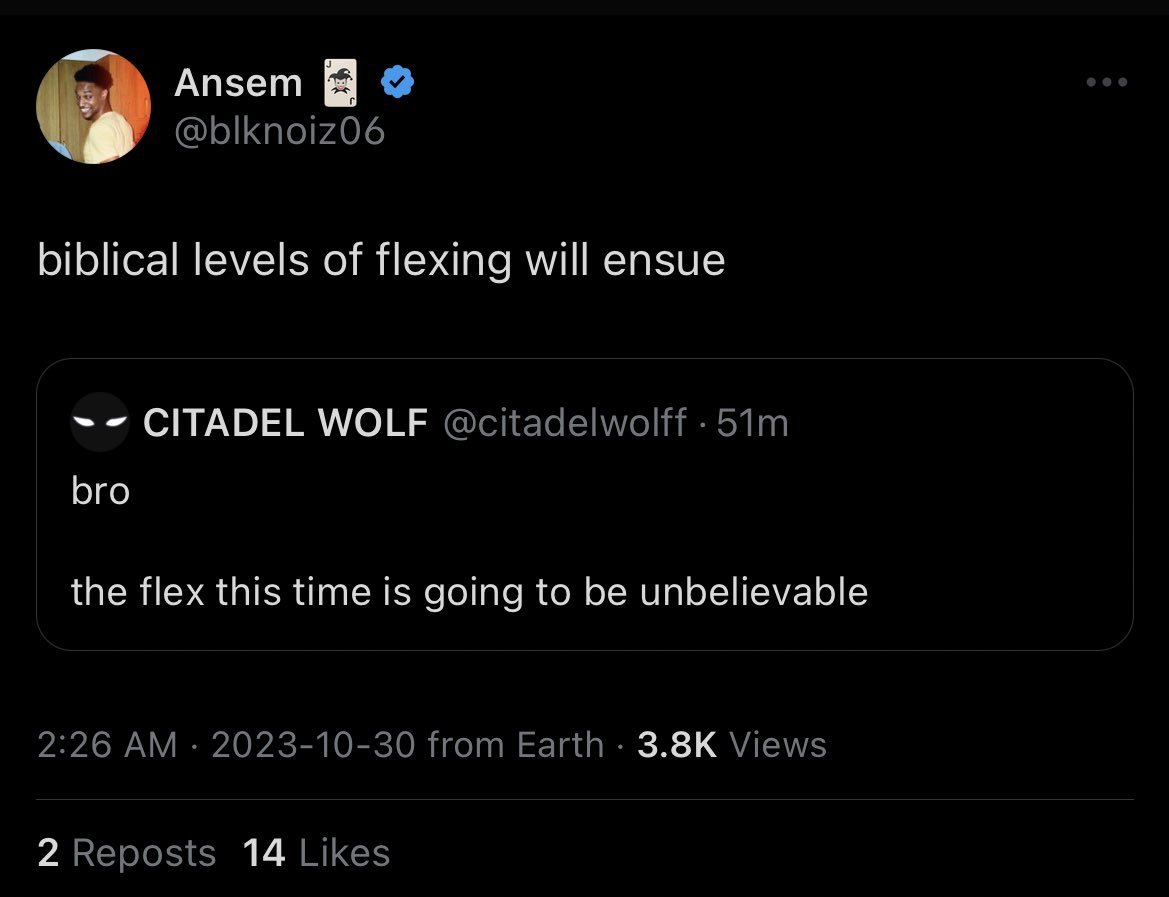 CITADEL WOLF โฐ๏ธ๐บ๐ฅท tweet media