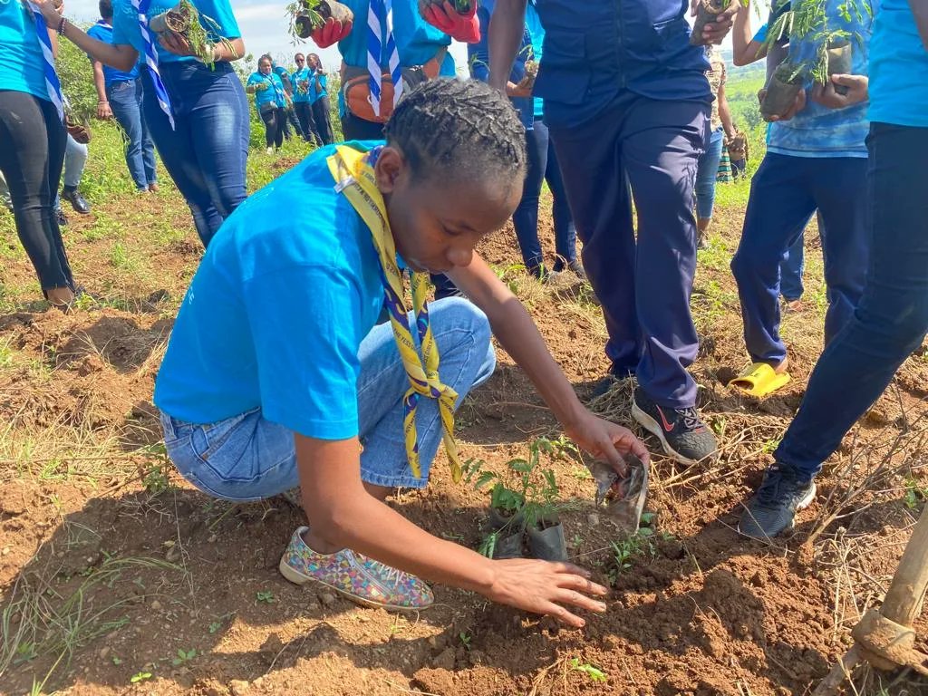 BlessmoreChikw2's tweet photo. Attended the launch of the 2023/24 tree planting season during Umuganda in Gashora, Bugesera. 14,000 native trees were planted!
#treeplanting #naturelover 
#takingcareoftheenvironment https://t.co/WwPmB63GxQ