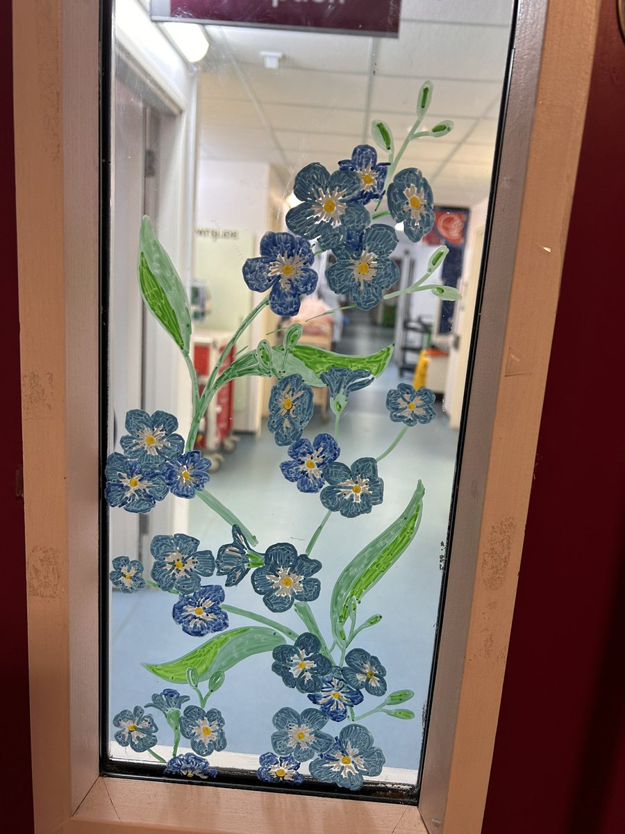 PUNC16_Beth's tweet photo. Thanks to @RCHTMACTEAM for brightening up Kerensa Ward’s entrance with these forget me not flowers 🩵💙 #dementiacare https://t.co/q0wwW3PAWT