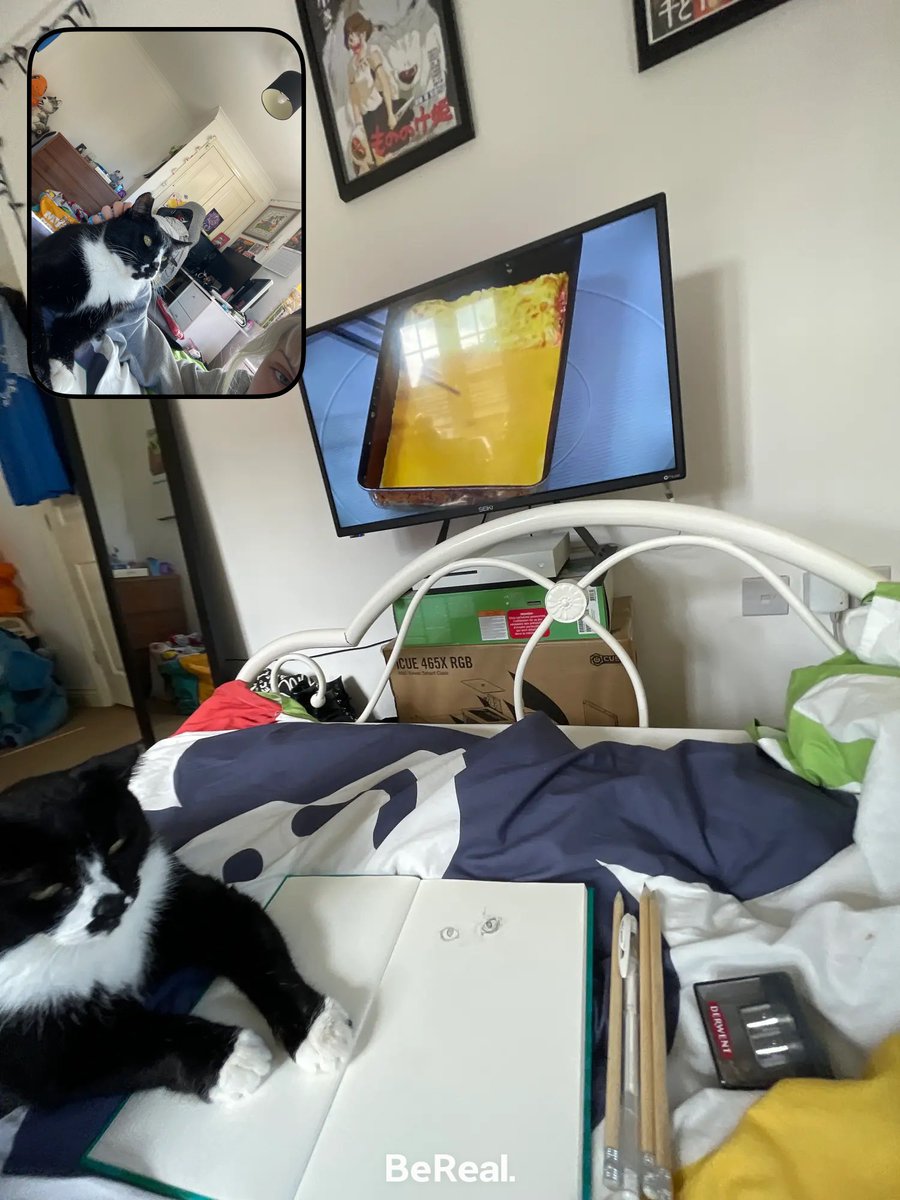 kitcaterinaa's tweet photo. If they are not the #RealestPersonOnEarth I don’t know who else would be.
Ft. Jackson, KitKat, and Spyro (@soph_fairy)
@BeReal_App https://t.co/wz2Hun6wC7