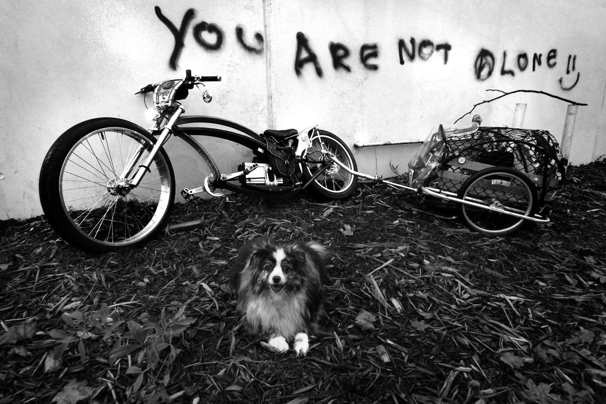 photowarrior's tweet photo. @JohnBauters As your attorney, I advise you to roll the #EandN #GallopingGoose  &amp; #Lochside trails #eChopper style with me on your #yyj #cycling 🎲🎲 tour.

I'm upgrading my old blue #eChopper eSystem &amp; adding double-disc to the springer. #ebike #MobilityAid #Disability #Cancer #ChronicPain https://t.co/eUMKDsmXdw