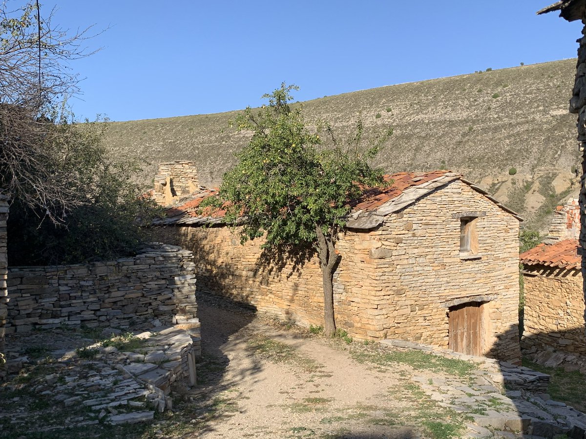 David Ortega tweet media