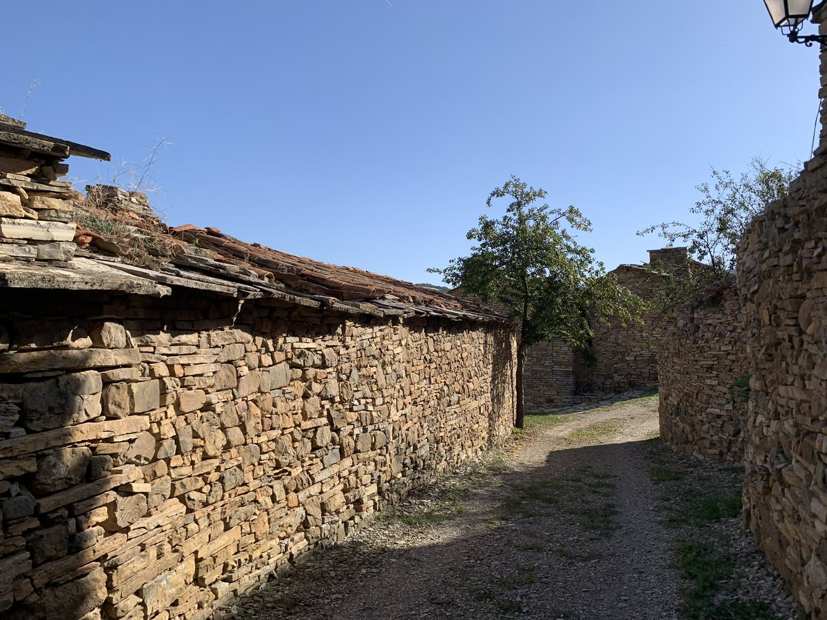 David Ortega tweet media