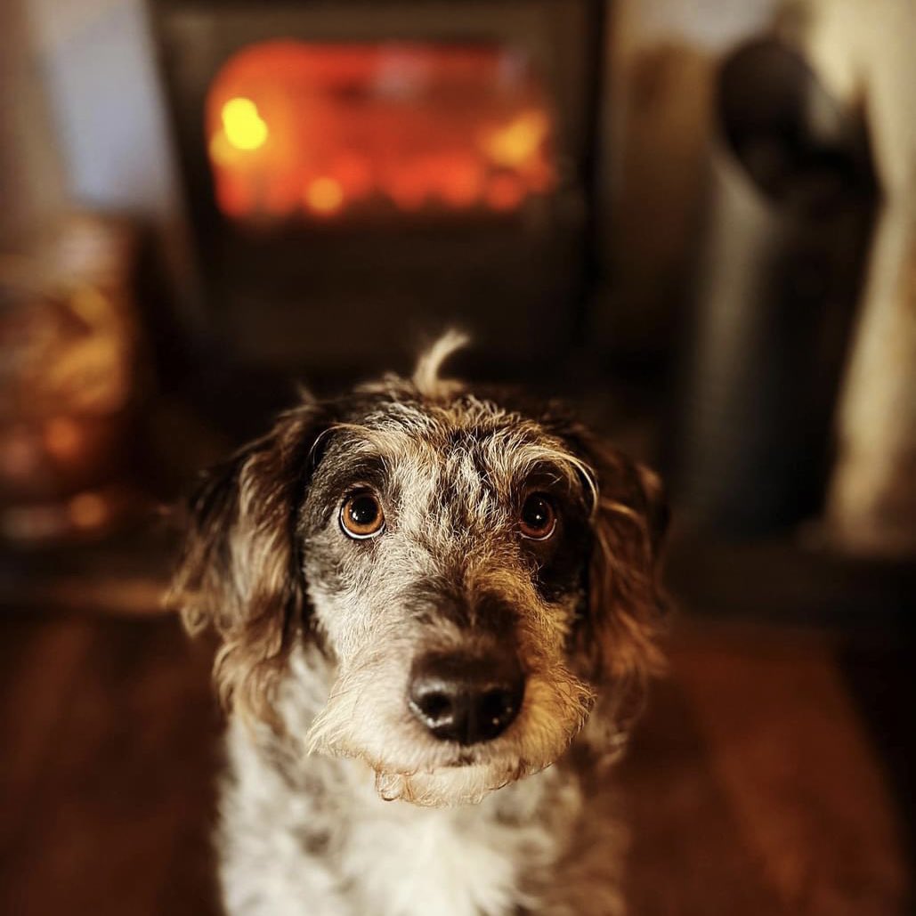 TheTalbotInnS75's tweet photo. 𝗙𝗮𝗰𝘁 𝗼𝗳 𝘁𝗵𝗲 𝗱𝗮𝘆... it doesn’t rain inside the pub! ☔️☔️☔️

The fire is lit 🔥, it’s cosy and warm inside and it’s 𝟮𝟬% 𝗢𝗙𝗙 𝗮𝗹𝗹 𝗙𝗢𝗢𝗗 &amp; 𝗗𝗥𝗜𝗡𝗞 all day every Monday &amp; Tuesday when you dine with us! https://t.co/qg0c5t6gzr