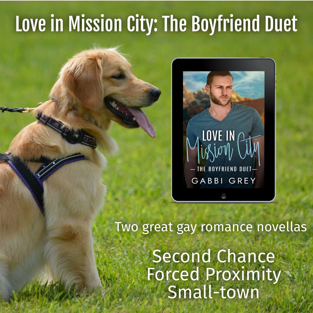 Release Day!  2 great Love in Mission City gay romance novellas! Check out these great stories, all in one box set!  books2read.com/Boyfriends
