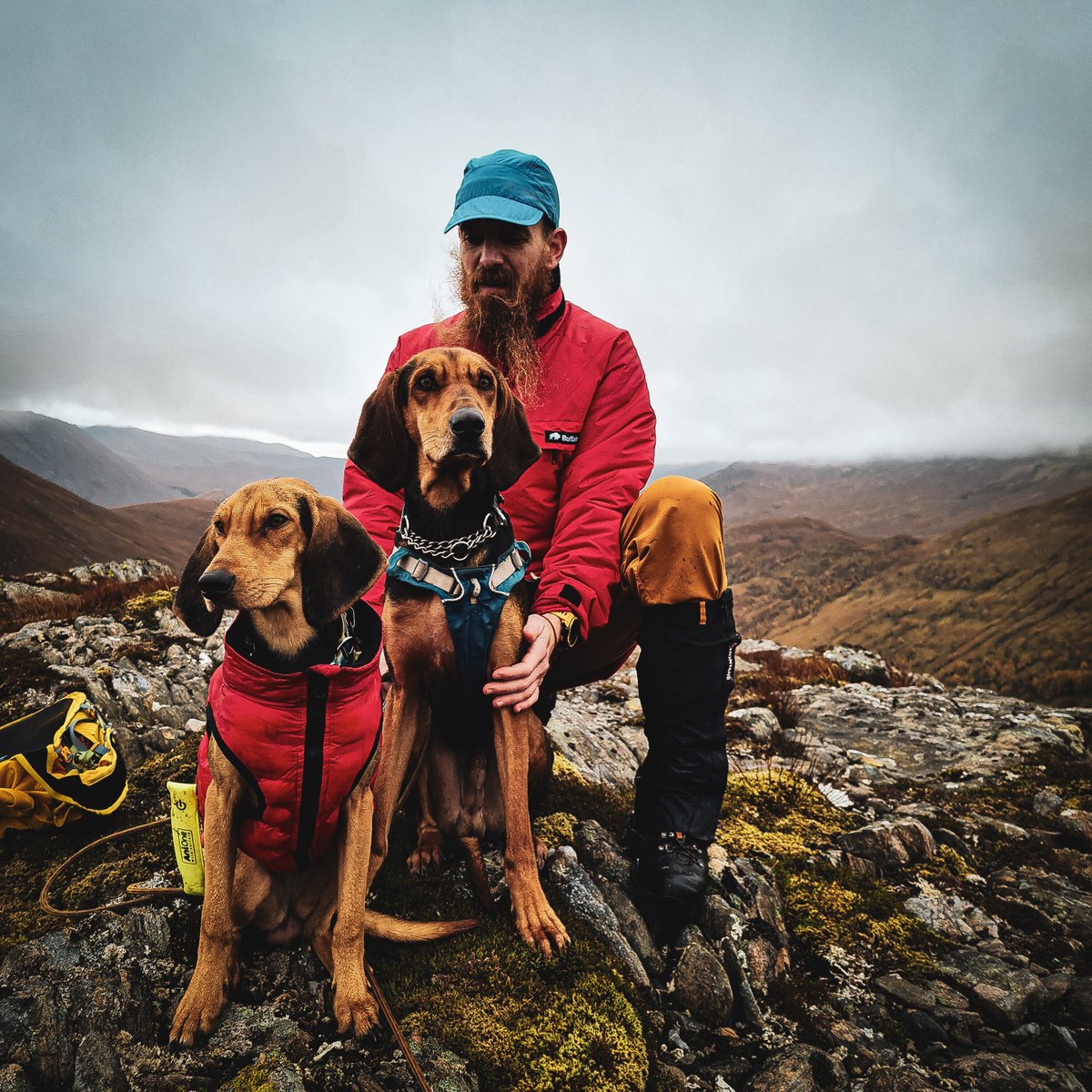 buffalosystems's tweet photo. A Man's best friend:
His Dog's and Buffalo Special 6 Shirt 🐕🦬
Big thank you to Magda - Szabi - Miles- Cleo for sending our team this photo of them stomping round the Scottish Highlands 🤙🍂
@https://linktr.ee/ourbootprints?utm_source=linktree_profile_share
#buffalosystems https://t.co/r41rAqmhNC