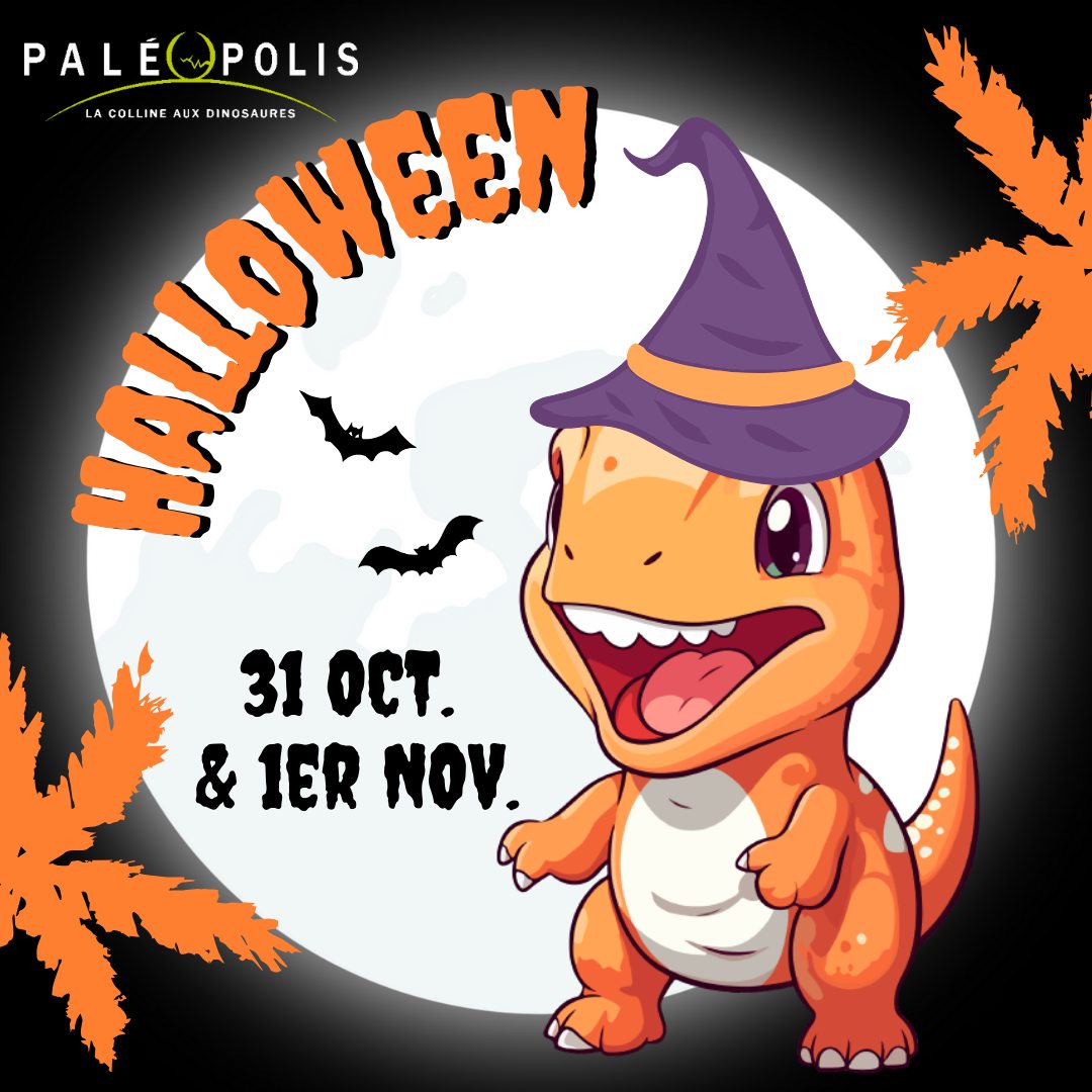 Radio Coquelicot tweet media