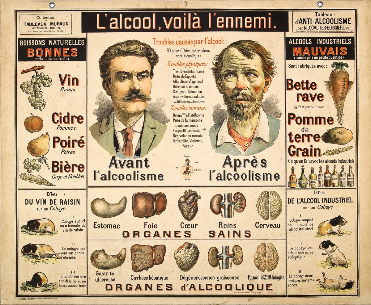 Fufluns (@fufluns7) on Twitter photo 