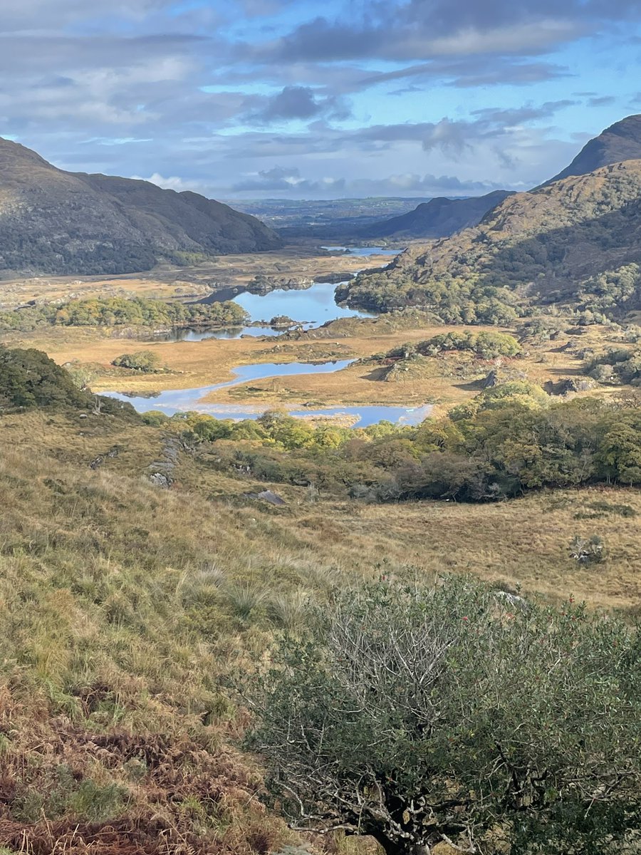 Kerry is looking resplendent in the sunshine this morning