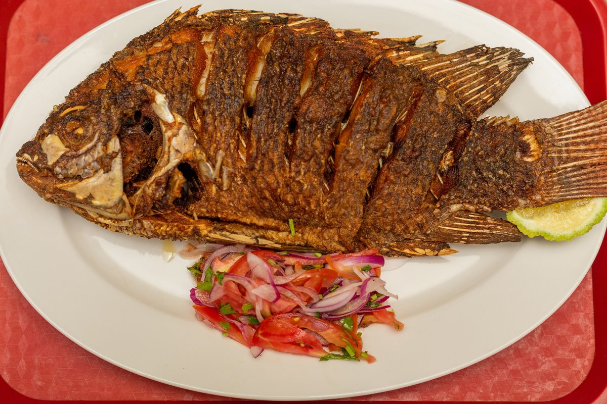 CAFEBRAVO1's tweet image. Lunch is always served. Fresh fish to savor. Call +256704294929 for delivery.

Sheila| Rickman|Gaetano|Alien Skin|MULTI-AWARD WINNER KHOSI TWALA|Nyege Nyege|Jinja|Matthew Perry|Chandler Bing