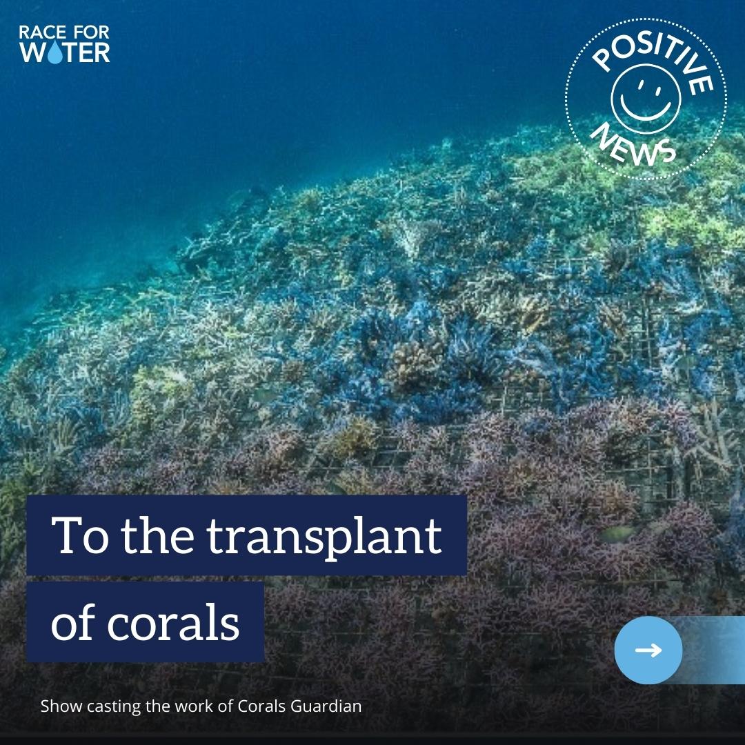 Race for Water tweet media