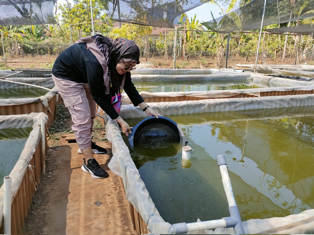 Nurfitrianijafar tweet media